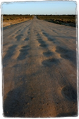 Bisti Road